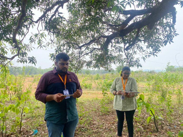 WhatsApp Image 2025-04-29 at 2.33 WhatsApp Image 2025-04-29 at 2.33