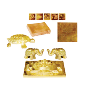 Bramhasthan Activation Kit