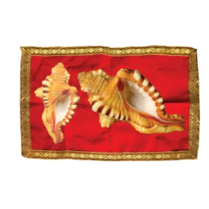 Ganesh Shankh